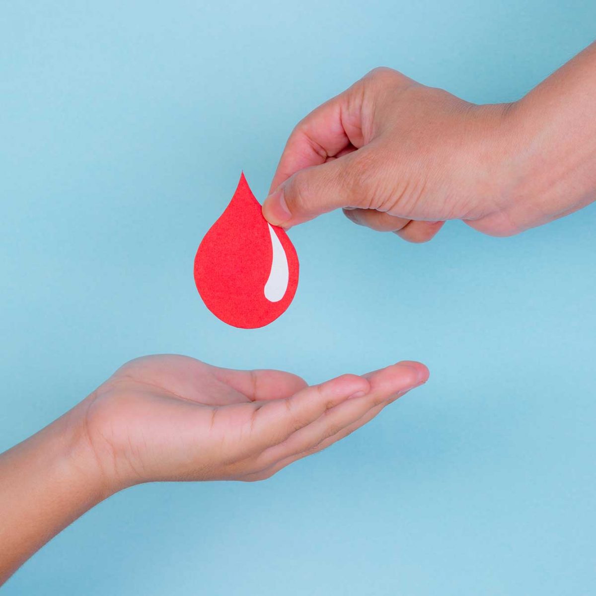 Hematología en la Clínica Ponferrada Hematología en la Clínica Ponferrada